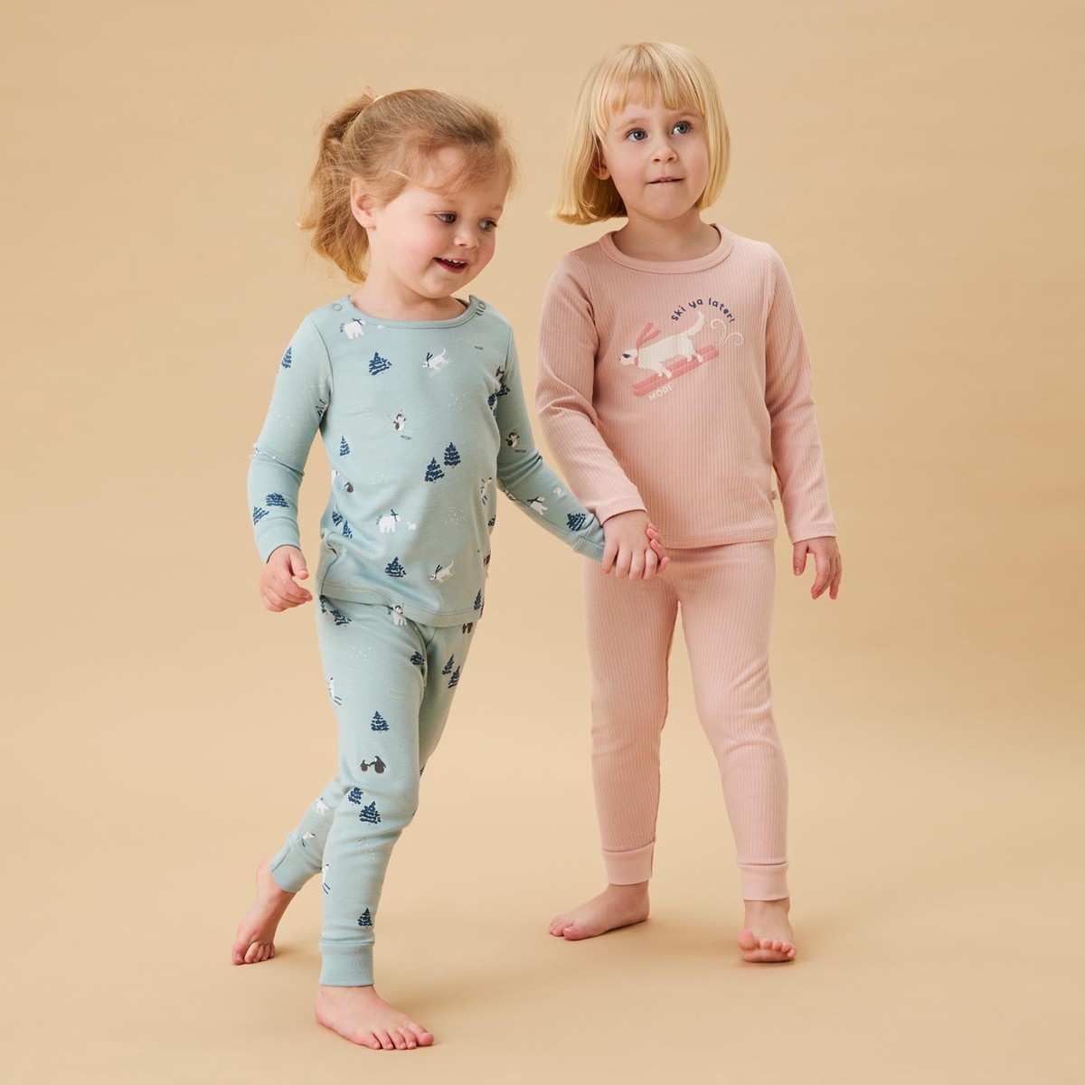 Ski Pyjamas Ski Dog Ribbed Pyjamas 2 Pack Multi