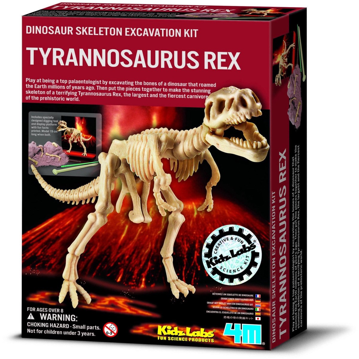 4M Kidz LabsDig A T-Rex Skeleton