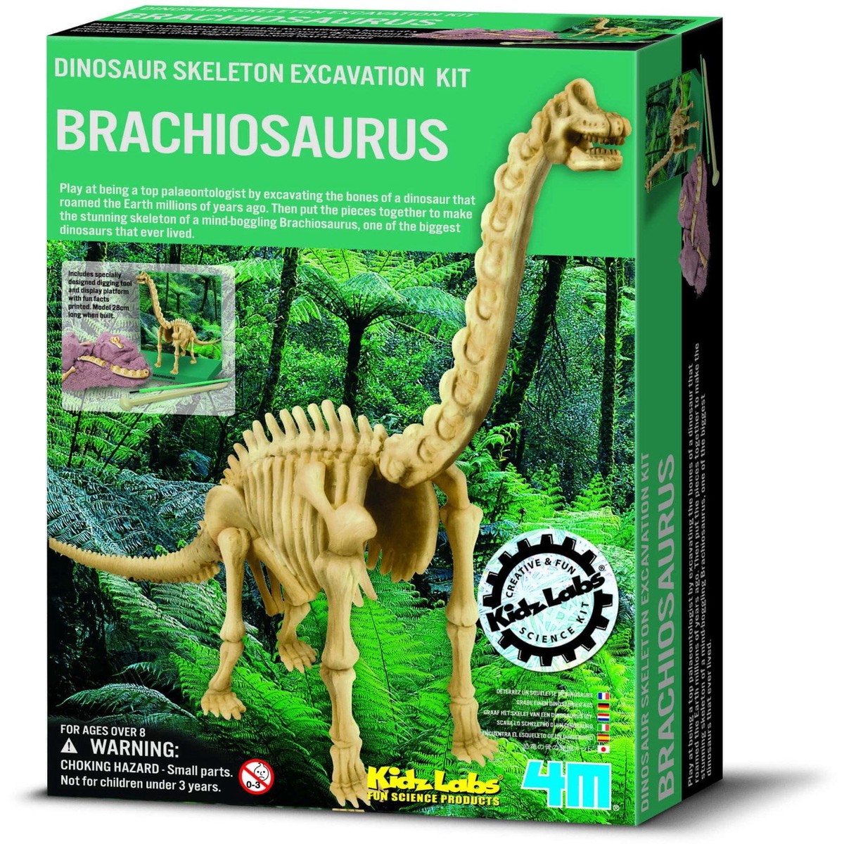 4M Kidz LabsDig A Brachiosauru